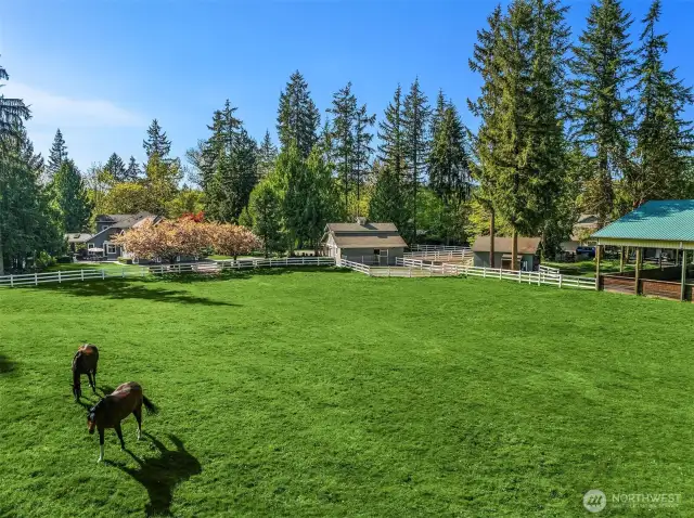 easy horse care layout. Barn, arena, paddocks and pastures are all conveniently laid out and designed.
