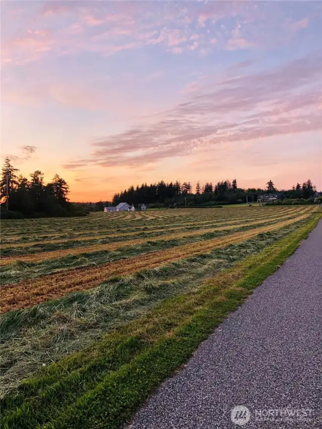 Drive past Picturesque Historical North Camano Farms to Sundin Beach Below~