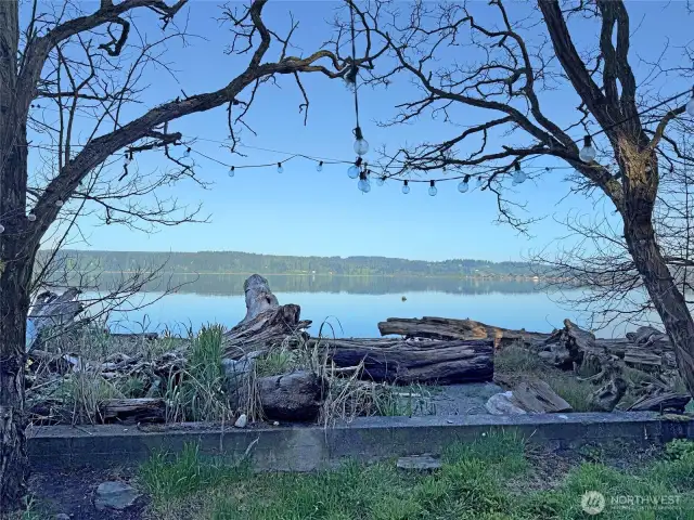 The Views from the Cabin~