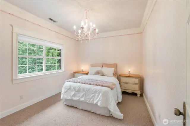 Upstairs bedroom with walk in closet