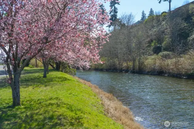The Camano Country Club lagoon.