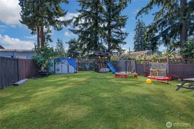 Backyard