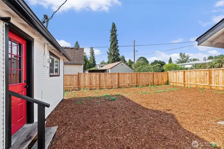 Backyard