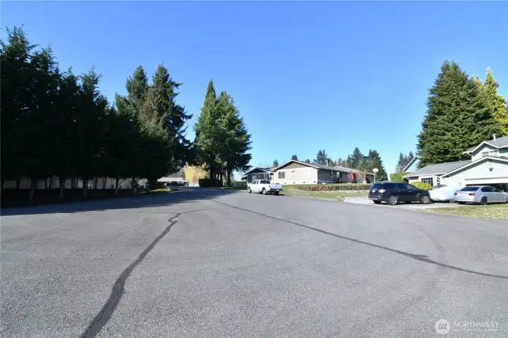 neighborhood view showing quiet cul-de-sac