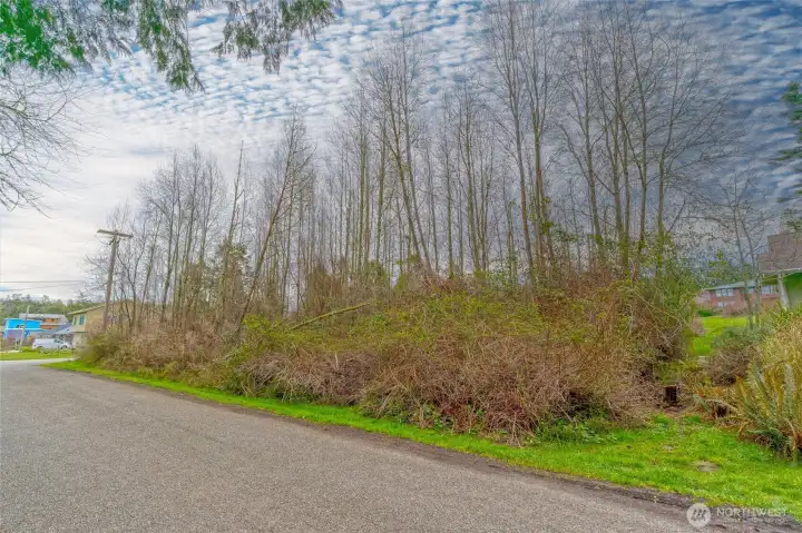 Lightly treed - level for building.