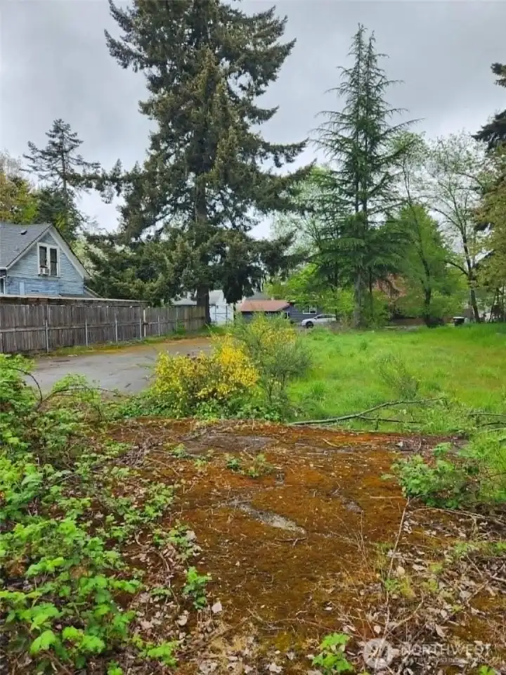 View from back of lot