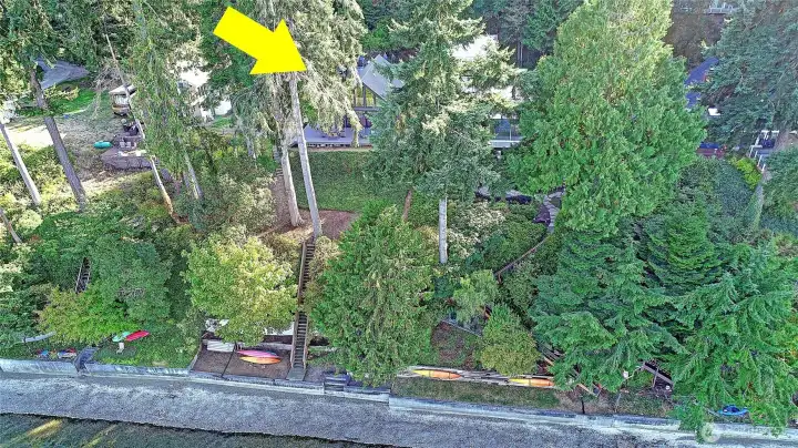 Prime Puget Sound waterfront home with bulkhead, surrounded by evergreens and direct beach access for kayaking and boating.