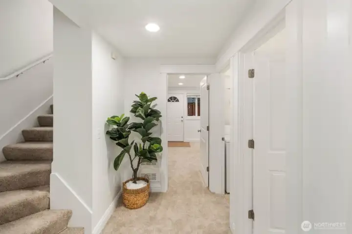 Entry Entry