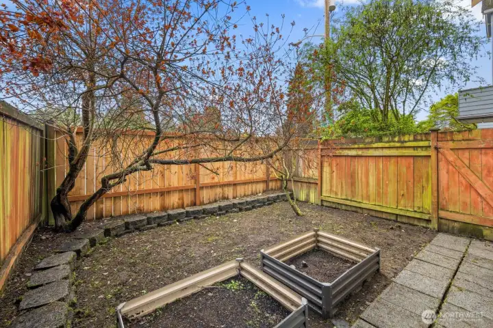 Backyard Backyard