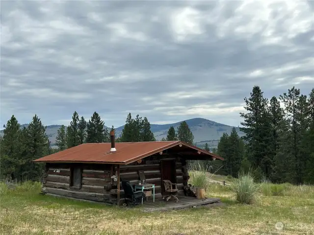 Homesteader cabin # 2