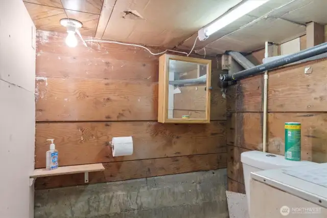 Basement bathroom