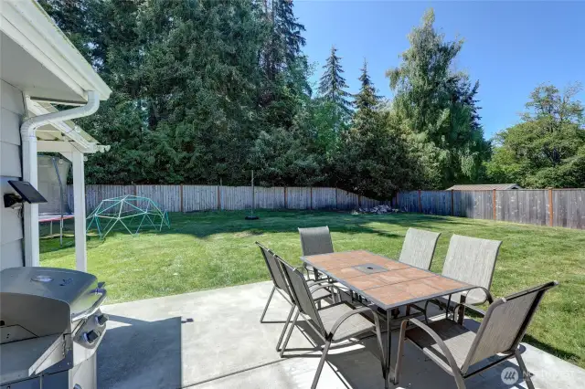 Huge, fully-fenced and private back yard.