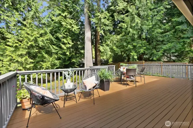 Expansive wood deck accessed via dining room and via kitchen/family room.