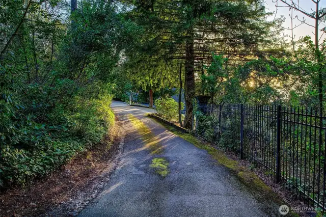 This gently curving, tree-lined drive offers more than access—it offers arrival. Nestled between native plantings and a discreet fence line, the journey to 7314 unfolds in peace and privacy. Here, filtered light, birdsong, and a whisper of salt air guide you home to your hidden retreat above the shores of Caledonia Cove.