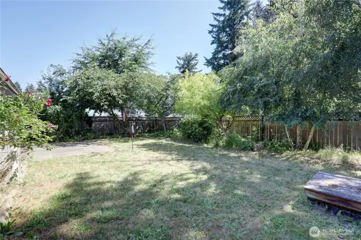 Good sized backyard combines mature trees, natural privacy, and versatile outdoor living space for year-round enjoyment.