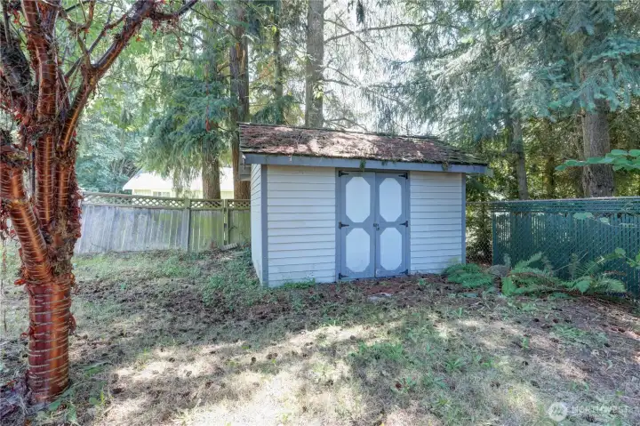 Shed