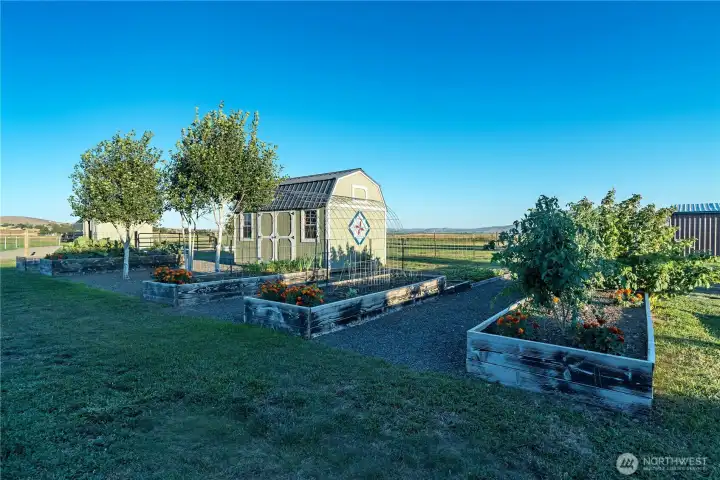 Garden area complete with raised beds, garden shed, and high producing strawberry & raspberry beds.
