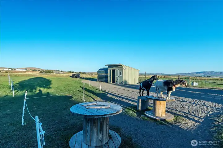 Small barn offers hay storage and loafing shed space. Run in shelter on the east end offers additional protection from the weather.