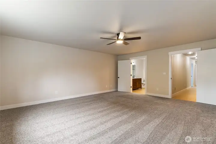 Brand new carpet!