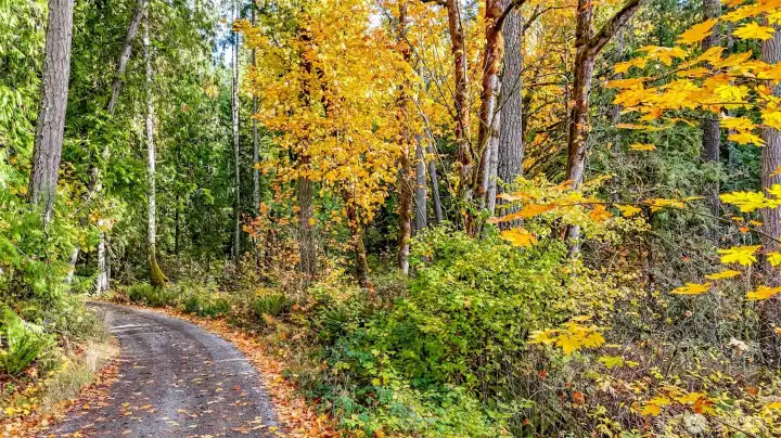 Gravel Road off Patterson