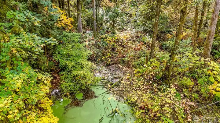 Pond and creek for potential hydro-power