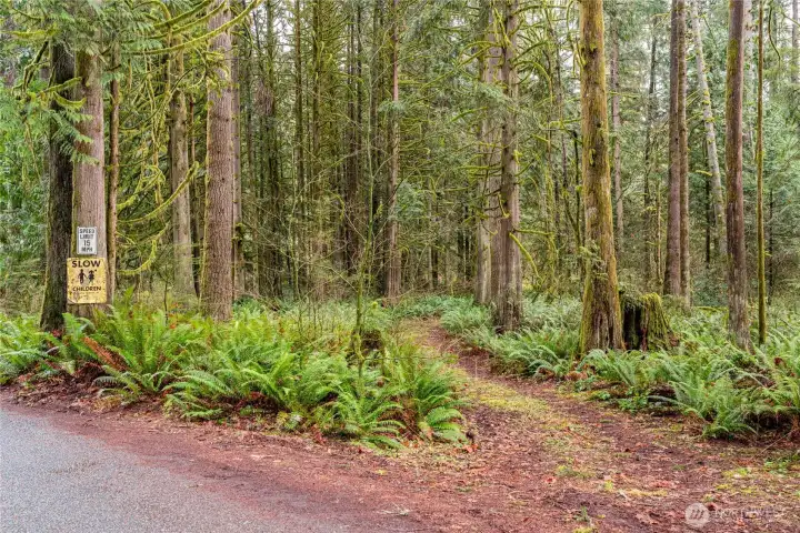 Driveway is the Angle road into the acreage.