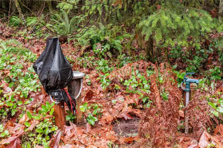 Drilled Well with hand pump.