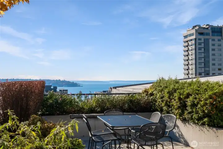 Devoted garden club.