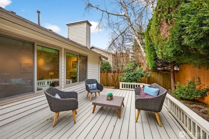 A second view of the deck shows the generous footprint and privacy created by the landscaping. Plenty of room to create distinct zones for dining, conversation, and outdoor living throughout the seasons.