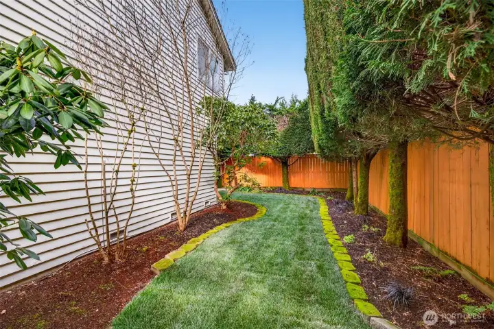 A private, landscaped side yard corridor with lawn and planting beds, framed by tall evergreens and fencing. Ideal for a quiet outdoor escape, gardening, or a play free open area.