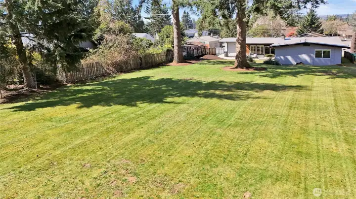 Beautiful .47 acre, room to recreate and entertain