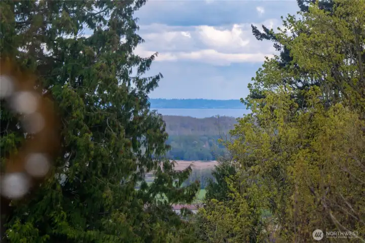This is the view out the large window that you can see from the staircase and upstairs hallway.