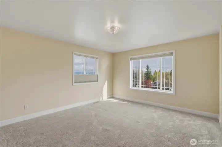 The largest of the guest bedrooms in furthest away from the primary bedroom down the hallway and faces south. Hunter Douglas blinds on both windows and an elegant light fixture.