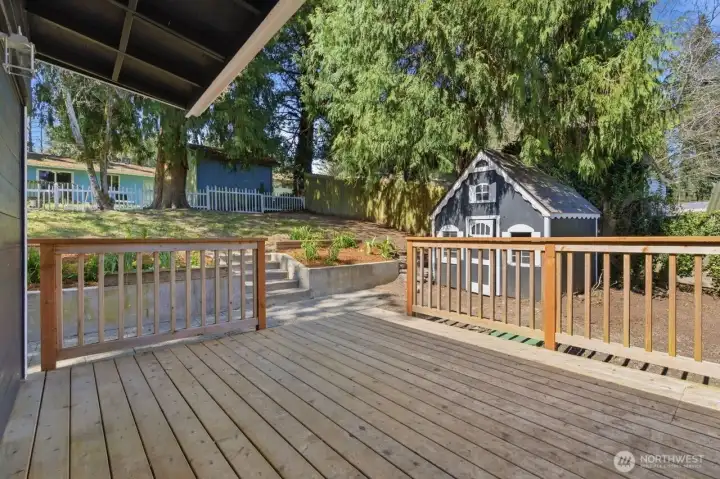 Deck view into the back yard.