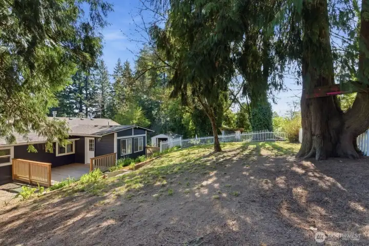 Yard looking down to home.