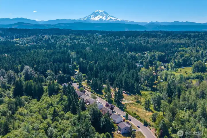 Your new neighborhood includes the mountain view from nearly every turn on the road.