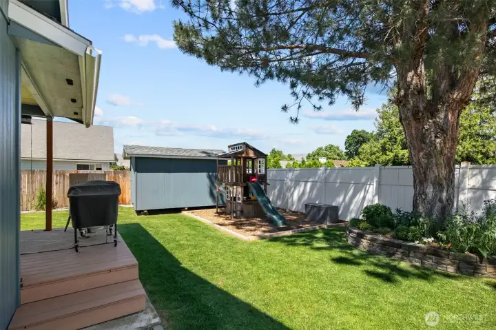 Play set & shed.
