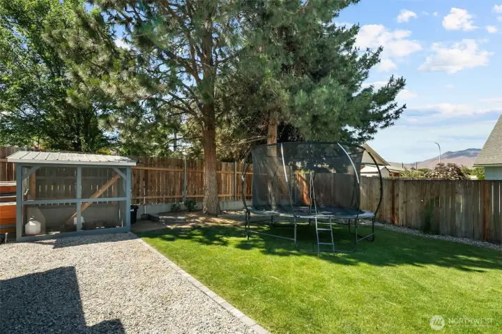 Chicken coop and plenty of shade.