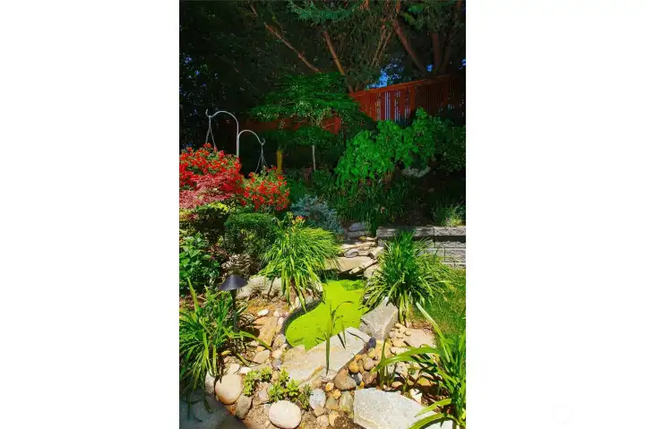 beautiful landscape in backyard. beautiful landscape in backyard.