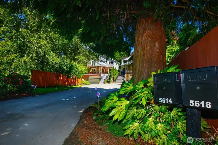 Private drive / dead end street. Only 2 homes at the end of the drive. Private drive / dead end street. Only 2 homes at the end of the drive.