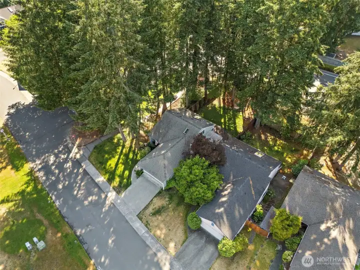 Look at your slice of the Pacific Northwest