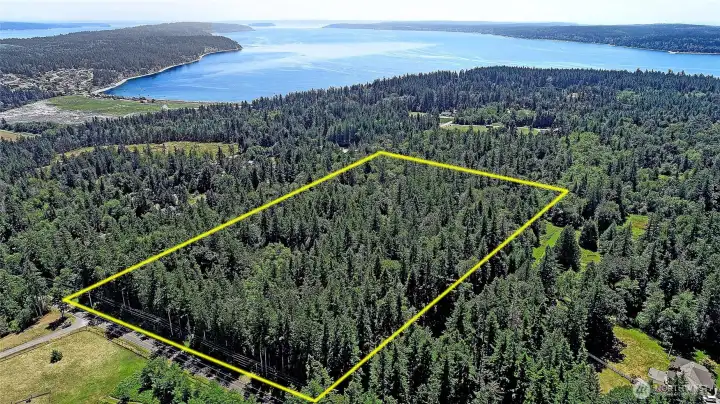 Gorgeous 20-Acre Parcel of Timber Above Elger Bay on Camano Island~ Gorgeous 20-Acre Parcel of Timber Above Elger Bay on Camano Island~