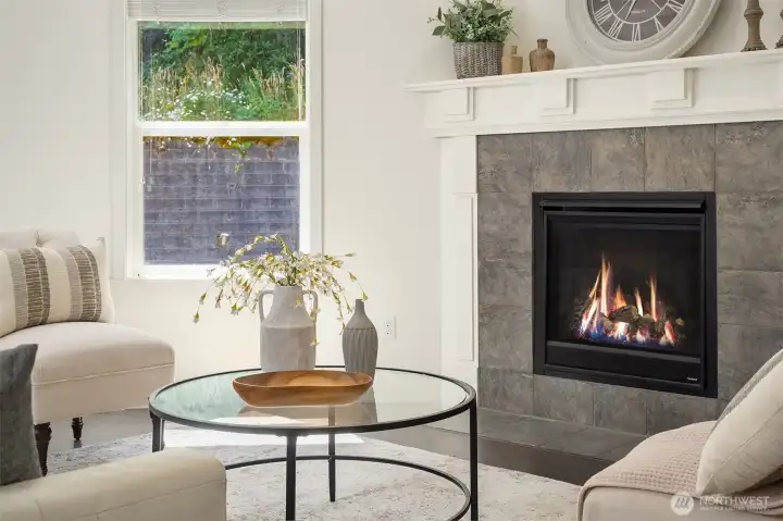 Cozy Gas Fireplace Cozy Gas Fireplace