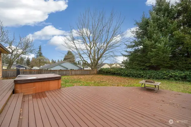 Backyard. Deck. hot tub