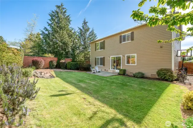 Large yard for entertaining.