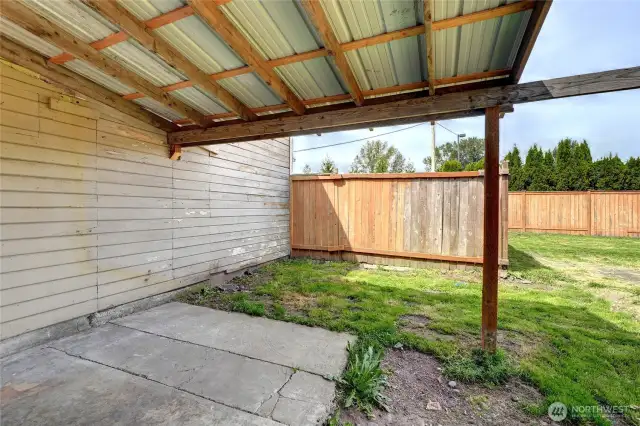 Fanced Back Yard