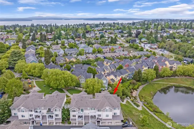 This drone photo shows the proximity to all the West Seattle has to offer! So many fantastic restaurants, coffee shops, wineries, shops, grocery stores, parks, beaches, and more!