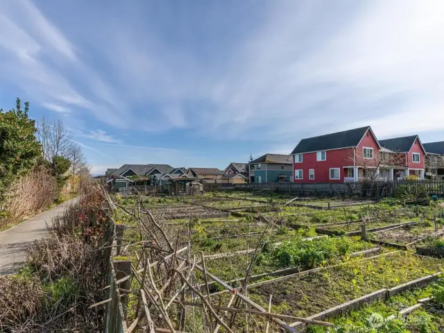 This photo shows one of 2 of the P-Patches in the community. High Point has a weekly Market Garden Farm Stand Wednesdays 4-7pm July-October at this High Point Juneau P-Patch Community Market Gardens. West Seattle also has a year round Farmers Market nearby at the Alaska Junction.