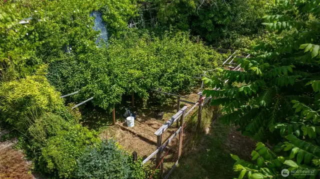 Garden Area