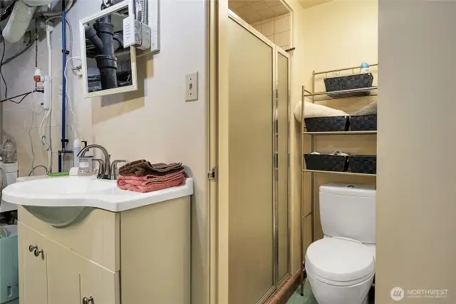 Bathroom with shower downstairs as well.